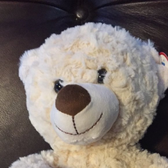 Teddy Bear Stuffed Animal New Holding Heart That Says "I Love You" - Picture 4 of 4